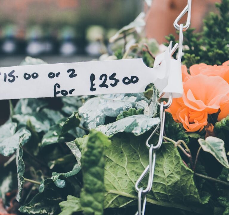 How Website Pricing Really Works for Small Businesses